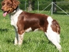 adelka-vystava-mb-2009