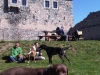 img00809-20110409-1457