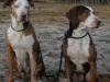 trapper-a-franceska-2