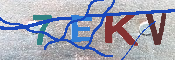 Kontrolní text