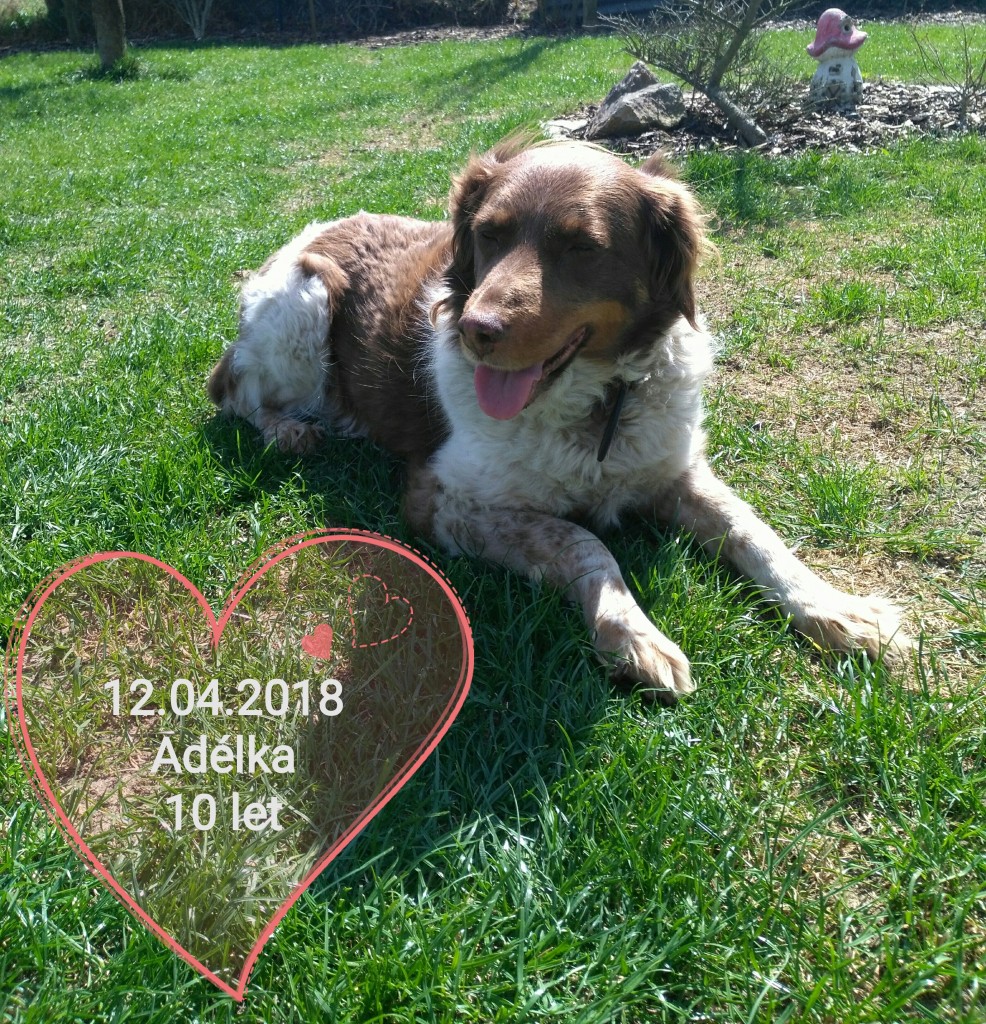 Adélka 10 let