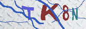 Kontrolní text